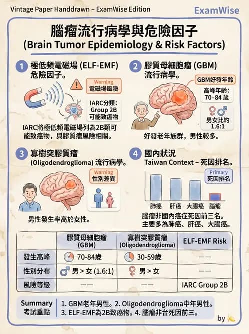 物治 - 運動神經元疾病與其他中樞疾病 - AI 圖文解析預覽
