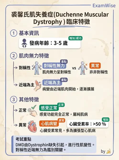 物治 - 神經肌肉疾病 - AI 圖文解析預覽