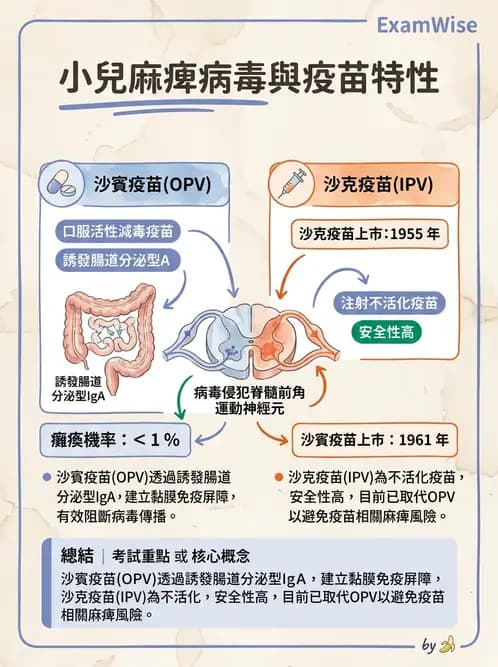物治 - 神經肌肉疾病 - AI 圖文解析預覽