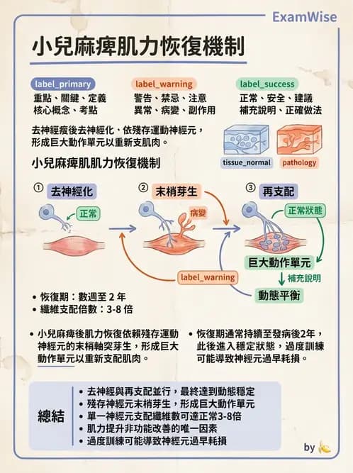 物治 - 神經肌肉疾病 - AI 圖文解析預覽