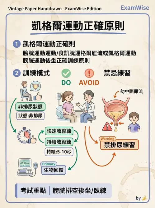 物治 - SCI併發症與呼吸管理 - AI 圖文解析預覽