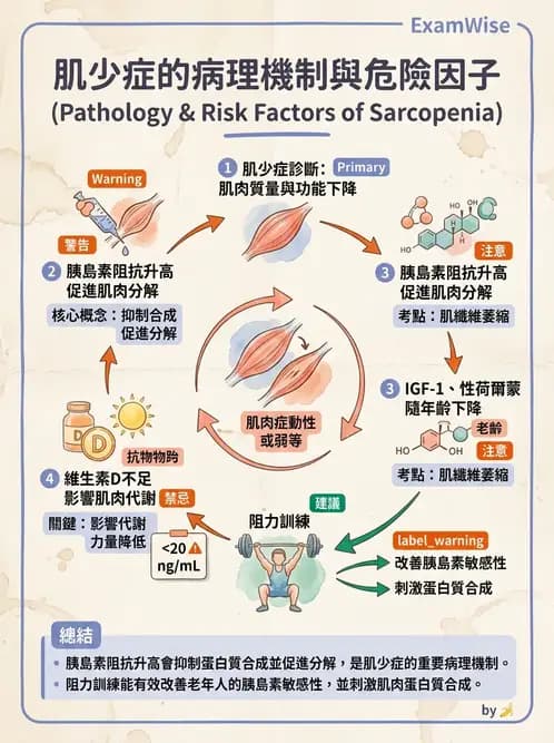 物治 - 衰弱肌少症與長期照護 - AI 圖文解析預覽