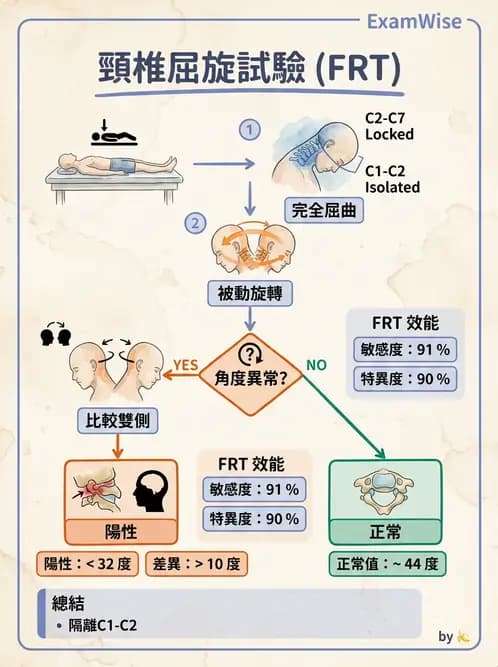 物治 - 頸椎評估與病理 - AI 圖文解析預覽