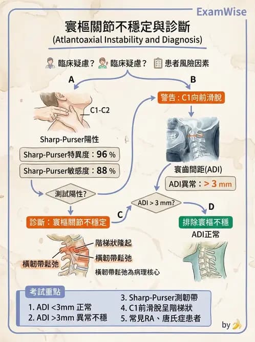 物治 - 頸椎評估與病理 - AI 圖文解析預覽