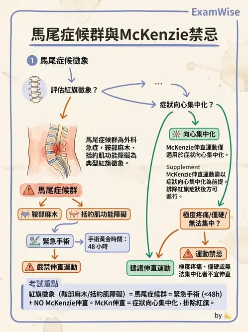 物治 - 腰椎穩定訓練與治療原則 - AI 圖文解析預覽
