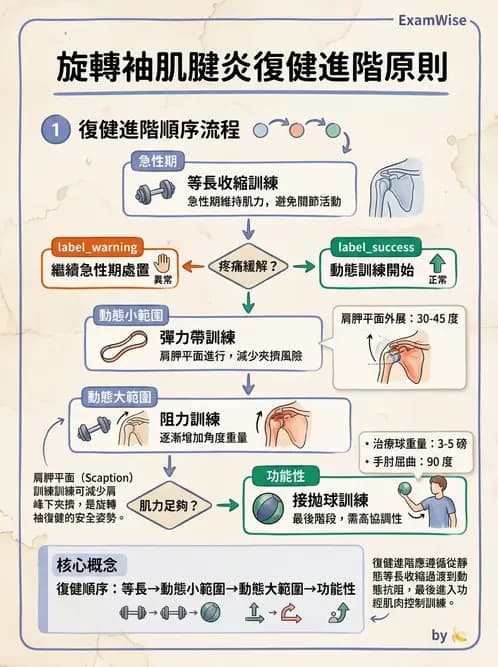 物治 - 肩關節夾擠與旋轉肌袖 - AI 圖文解析預覽