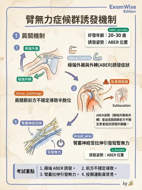 物治 - 肩關節不穩定與盂唇損傷 - AI 圖文解析預覽