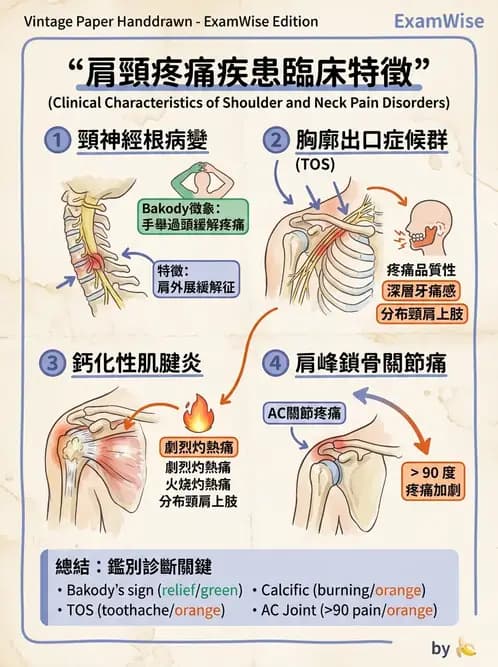 物治 - 肩關節夾擠與旋轉肌袖 - AI 圖文解析預覽
