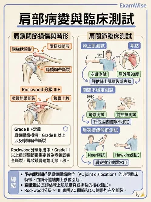 物治 - 肩胛生物力學與神經損傷 - AI 圖文解析預覽