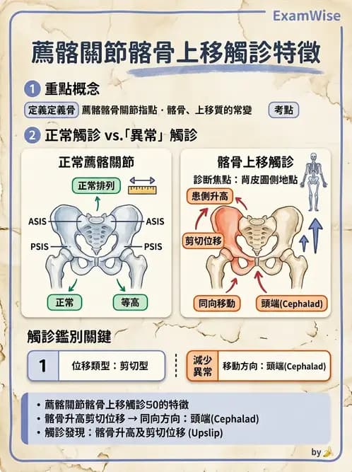 物治 - 薦髂關節評估與治療 - AI 圖文解析預覽