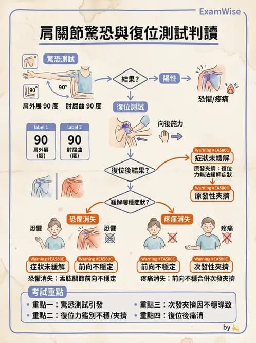 物治 - 肩關節不穩定與盂唇損傷 - AI 圖文解析預覽