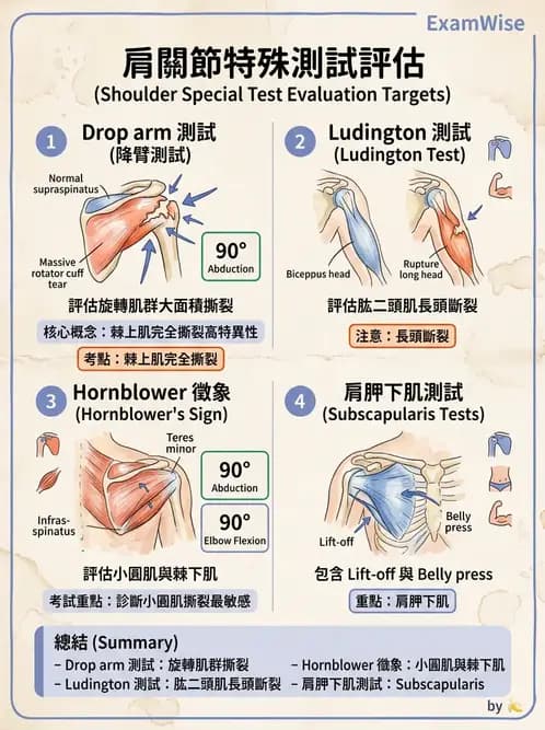 物治 - 肩關節夾擠與旋轉肌袖 - AI 圖文解析預覽