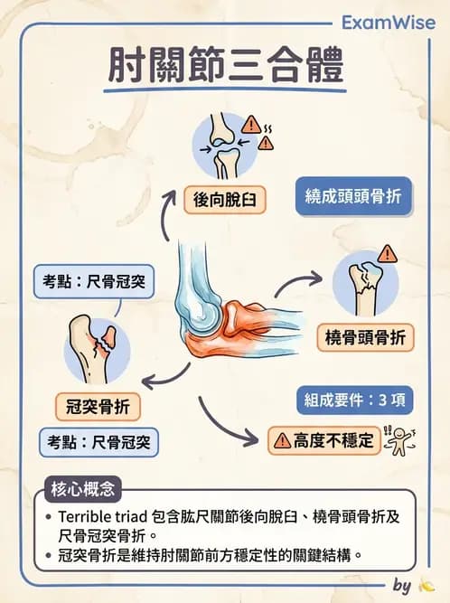 物治 - 肘及前臂關節 - AI 圖文解析預覽