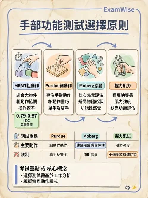 物治 - 手部肌腱損傷與變形 - AI 圖文解析預覽