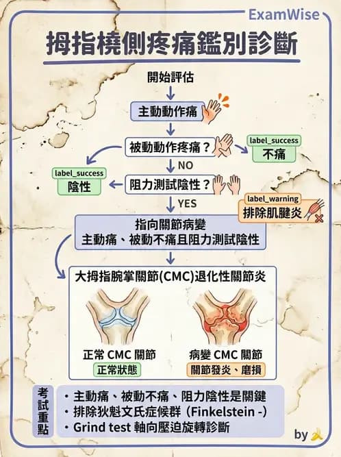 物治 - 腕關節疾病 - AI 圖文解析預覽