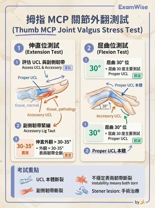 物治 - 手部肌腱損傷與變形 - AI 圖文解析預覽