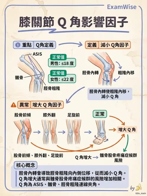 物治 - 髕股關節疼痛與伸展機制 - AI 圖文解析預覽