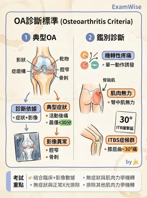 物治 - 膝關節生物力學與退化性疾病 - AI 圖文解析預覽