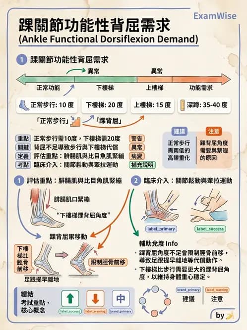 物治 - 踝關節損傷與復健 - AI 圖文解析預覽