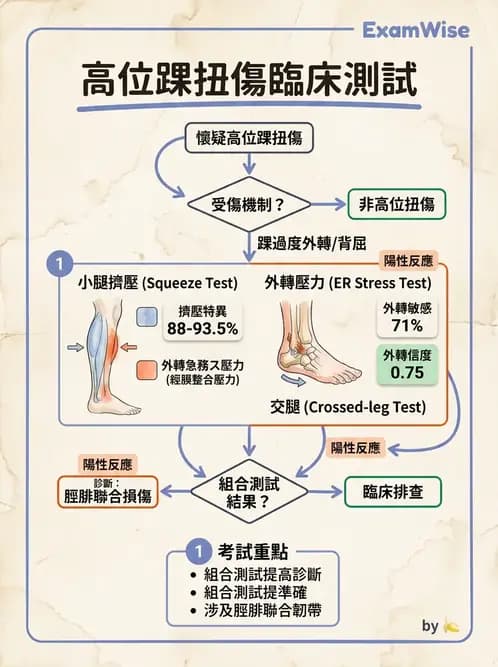 物治 - 踝關節損傷與復健 - AI 圖文解析預覽