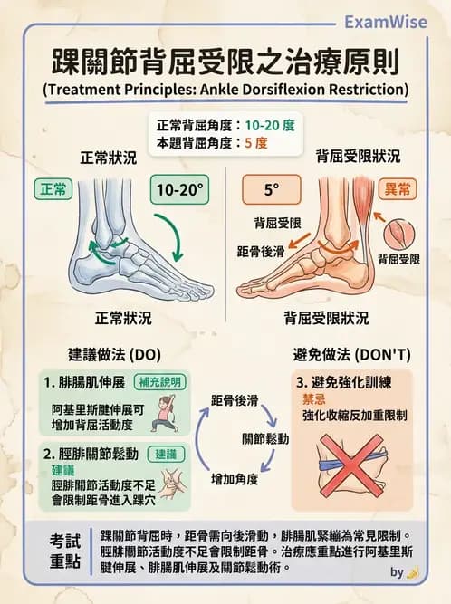 物治 - 踝關節損傷與復健 - AI 圖文解析預覽