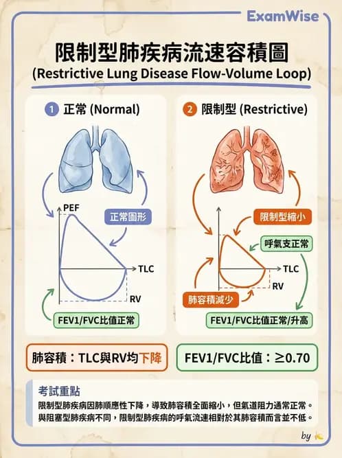 物治 - 肺功能測試與血氣體分析 - AI 圖文解析預覽