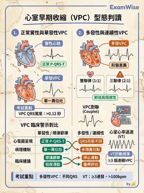物治 - 心電圖判讀 - AI 圖文解析預覽