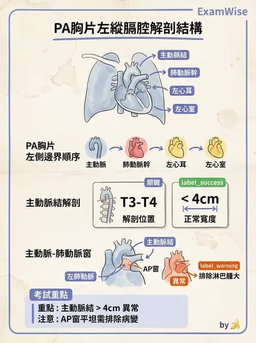 物治 - 心臟診斷工具與運動測試 - AI 圖文解析預覽