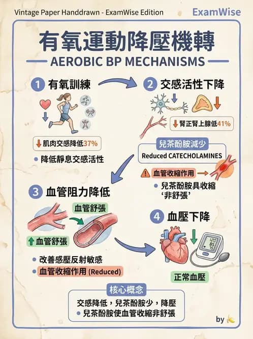 物治 - 運動生理學與能量代謝 - AI 圖文解析預覽