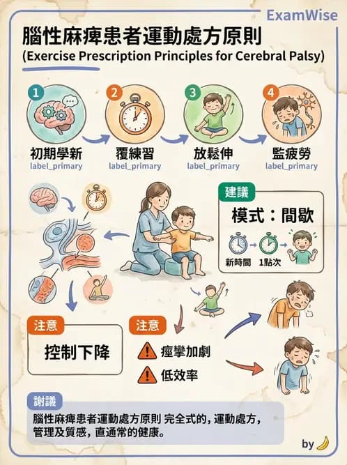物治 - 特殊族群運動處方與健康促進 - AI 圖文解析預覽