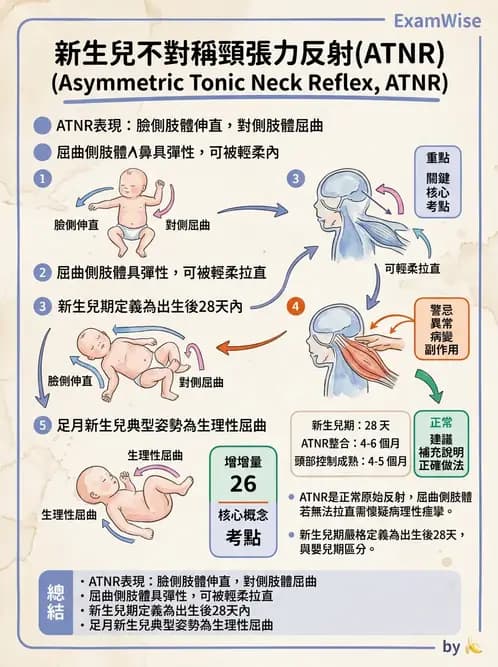 物治 - 新生兒與嬰兒發展評估 - AI 圖文解析預覽