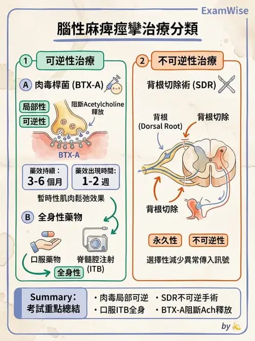 物治 - 腦性麻痺介入、手術與輔具 - AI 圖文解析預覽