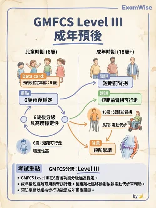 物治 - 腦性麻痺分類、評估與步態 - AI 圖文解析預覽