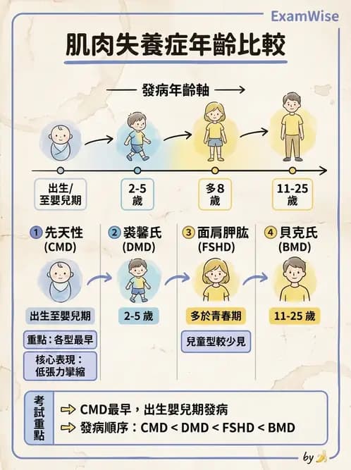 物治 - 脊柱裂、神經肌肉疾病與腦傷 - AI 圖文解析預覽