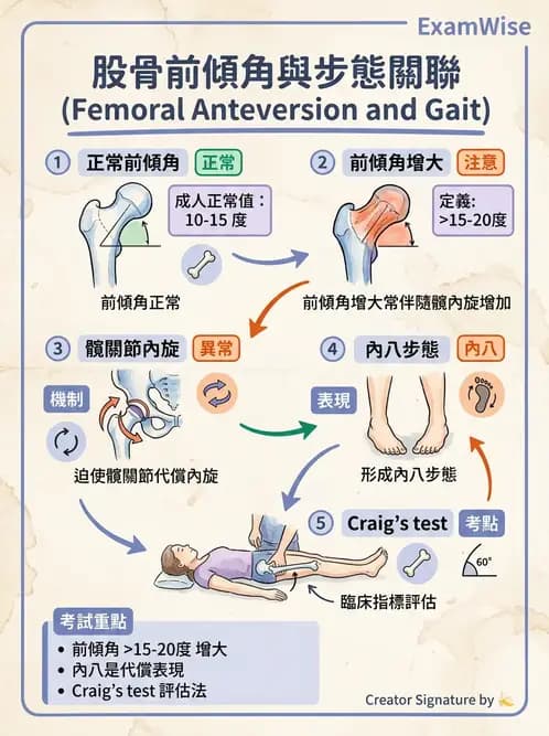 物治 - 異常步態與姿勢分析 - AI 圖文解析預覽
