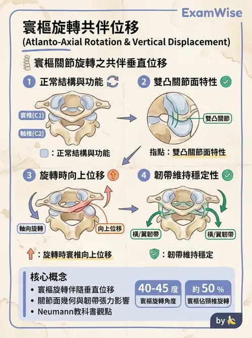 物治 - 頸椎肌動學與生物力學 - AI 圖文解析預覽