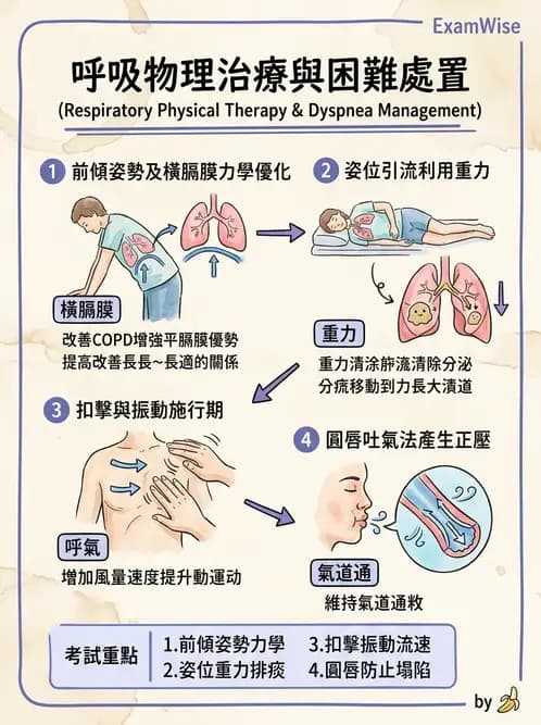物治 - 心肺系統疾病 - AI 圖文解析預覽