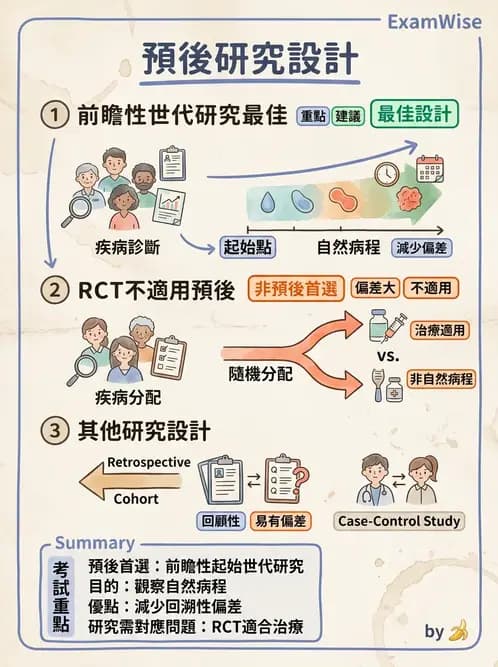 物治 - 實證概念與發展 - AI 圖文解析預覽