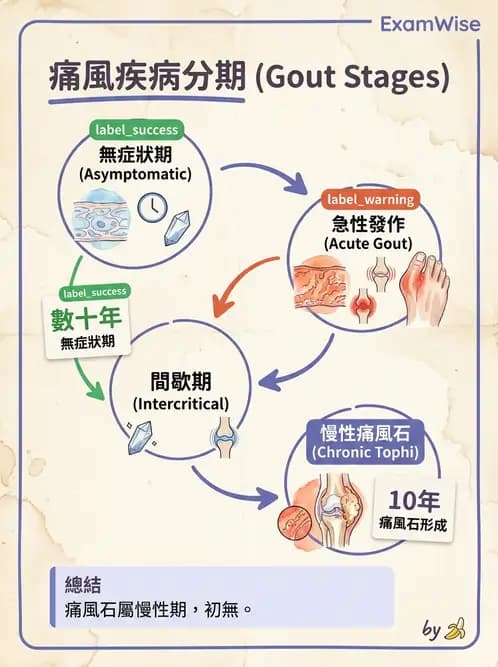 物治 - 內科疾病概論 - AI 圖文解析預覽