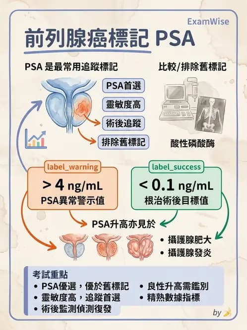 物治 - 腫瘤與其他臨床醫學 - AI 圖文解析預覽