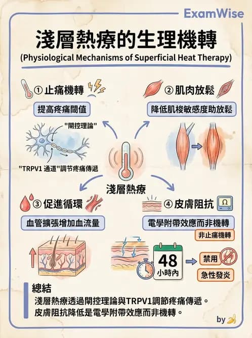 物治 - 溫度療法 - AI 圖文解析預覽