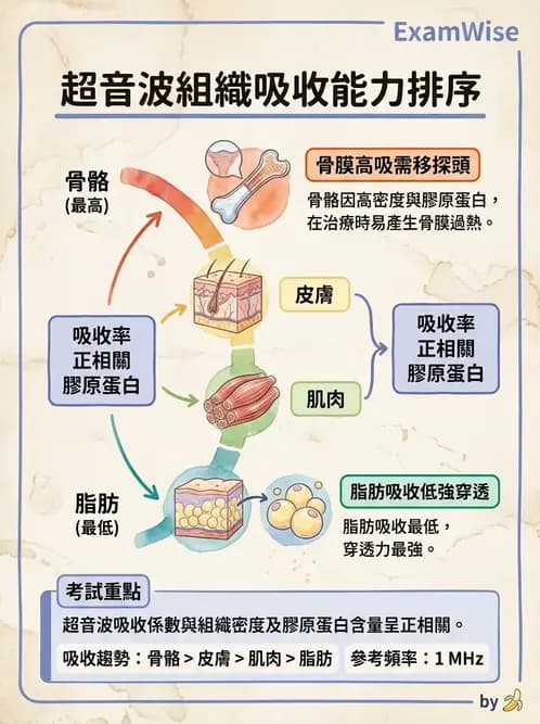 物治 - 超音波 - AI 圖文解析預覽