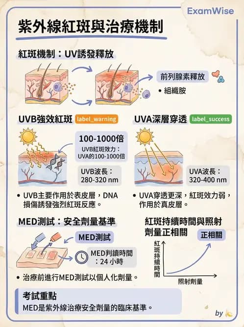 物治 - 紫外光 - AI 圖文解析預覽