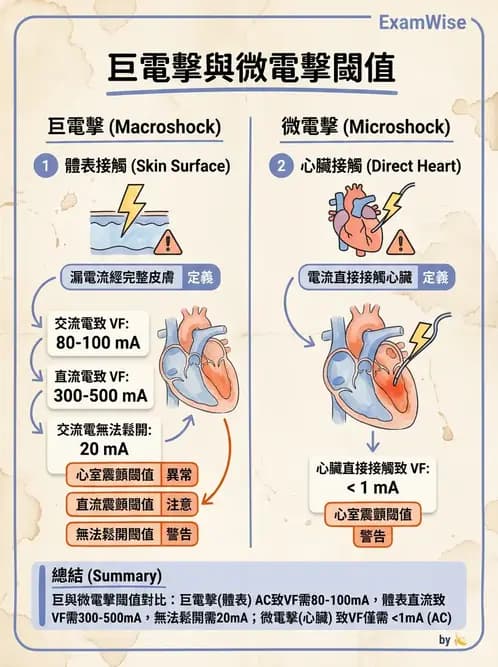 物治 - 經皮電刺激與電療基礎 - AI 圖文解析預覽