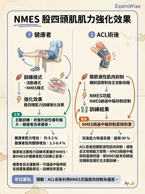 物治 - 神經肌肉電刺激 - AI 圖文解析預覽