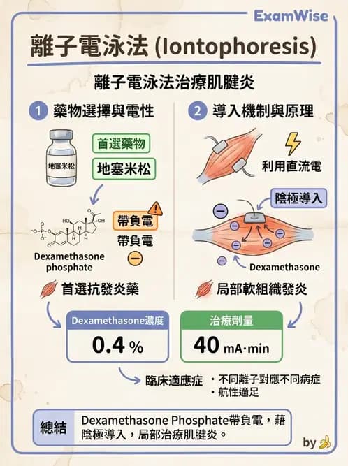 物治 - 離子導入法 - AI 圖文解析預覽