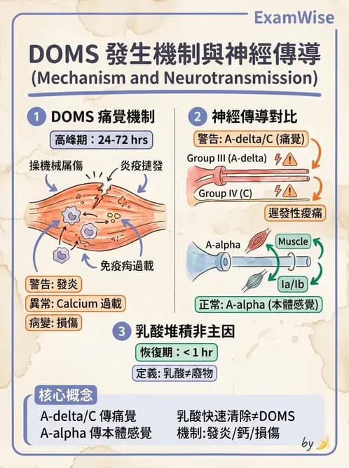 物治 - 肌力訓練方法 - AI 圖文解析預覽
