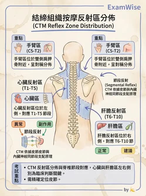 物治 - 深層摩擦按摩與結締組織技術 - AI 圖文解析預覽