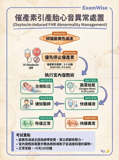護理師 - 分娩過程與產科急症 - AI 圖文解析預覽