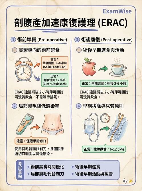護理師 - 生產疼痛與麻醉技術 - AI 圖文解析預覽